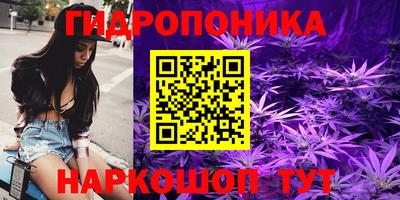 бошки Камень-на-Оби