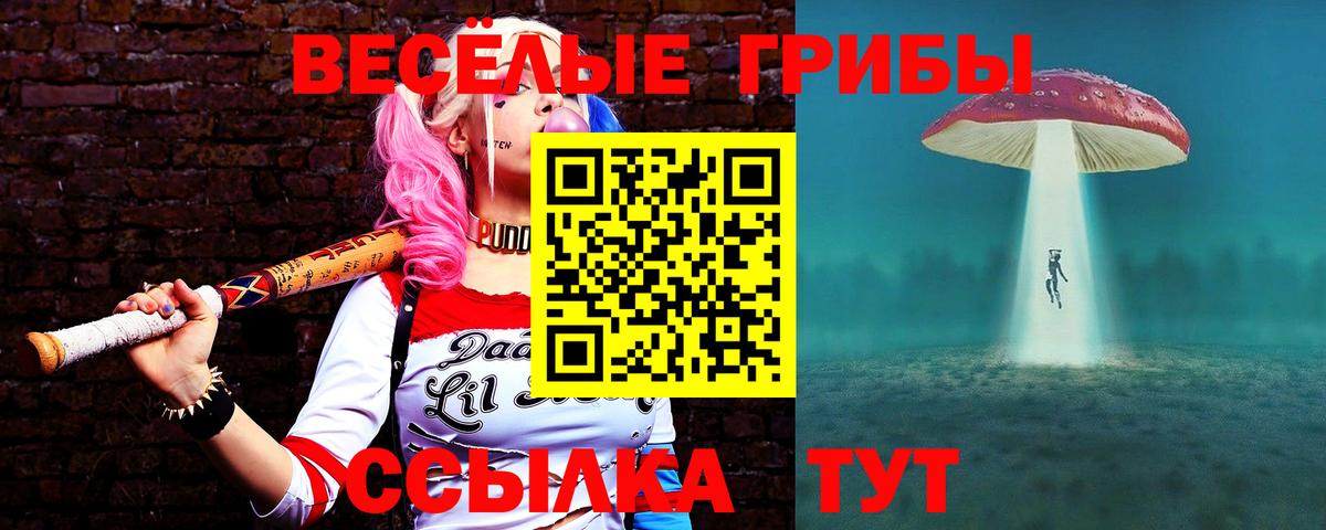 Галлюциногенные грибы мицелий Алейск