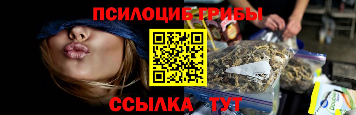 Псилоцибиновые грибы Psilocybe  Вход с VPN  Алейск 